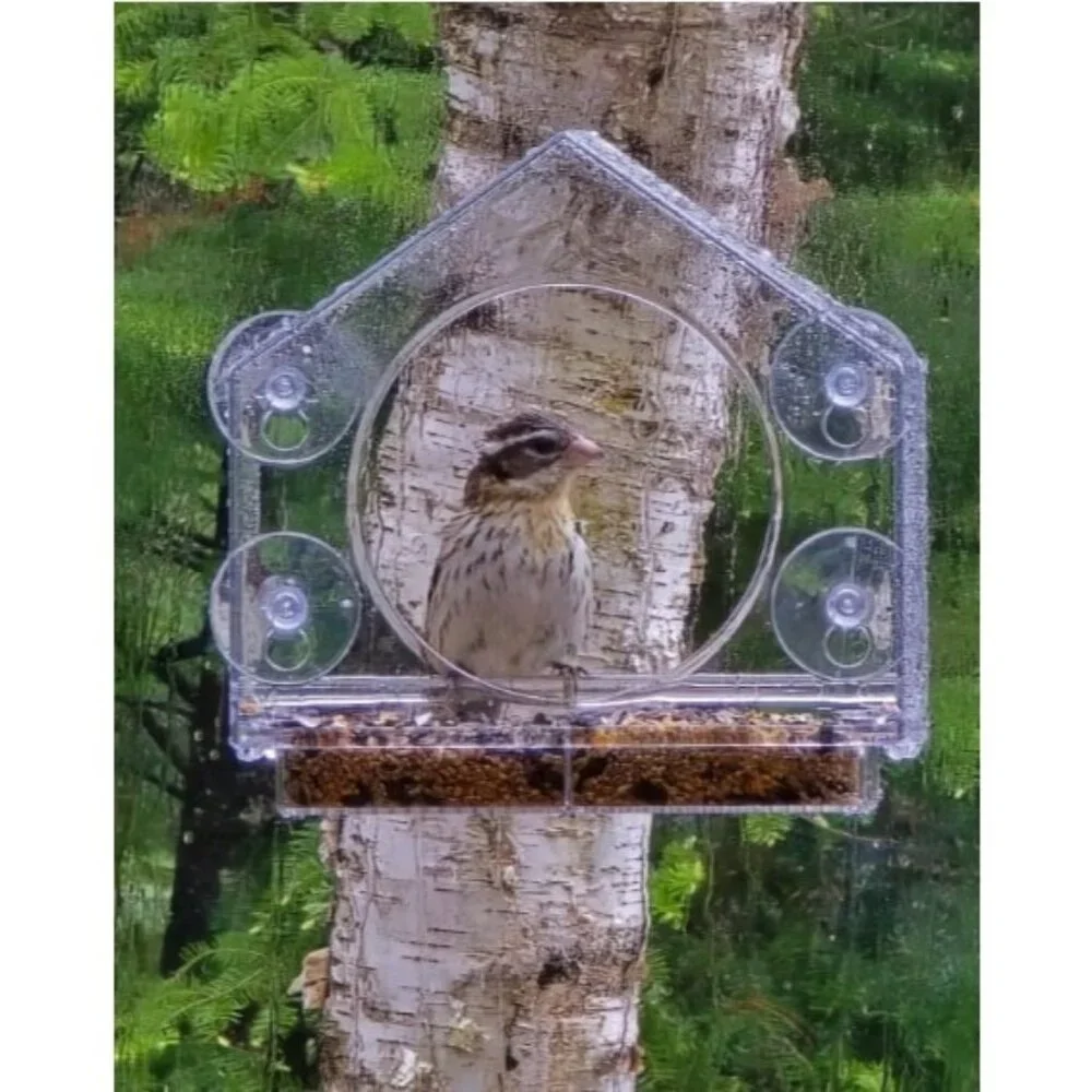 Transparent Acrylic Window Bird Feeders for Outdoors - Enhanced Suction Grip